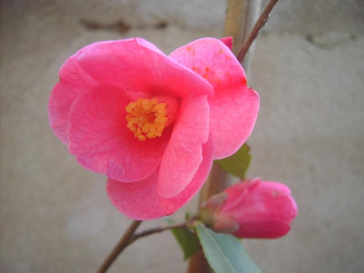 PICT1578.JPG