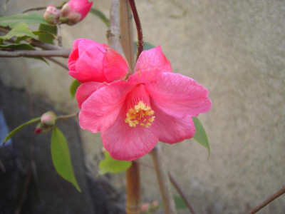 PICT1576.JPG
