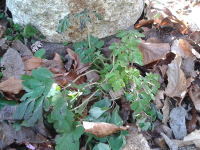 20170313_104949.jpg