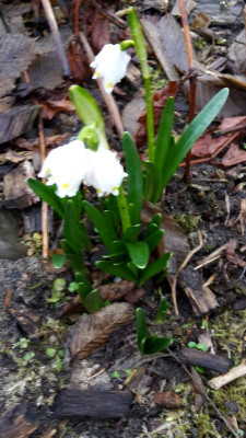 20170219_153800.jpg