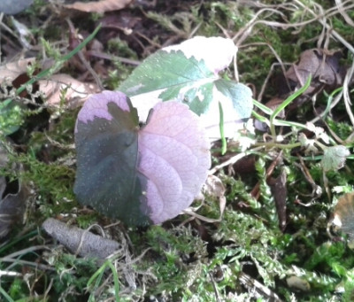 20170313_105128-1.jpg