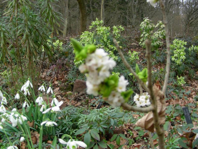 Daphne vermasselt DSCN8915.JPG
