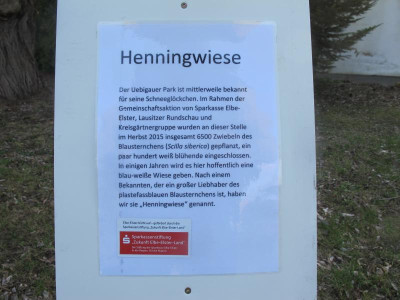 Henningwiese 15.3.17 u.JPG