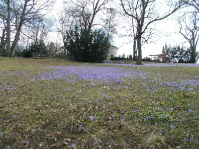 2017-03-12 12.13.50.jpg