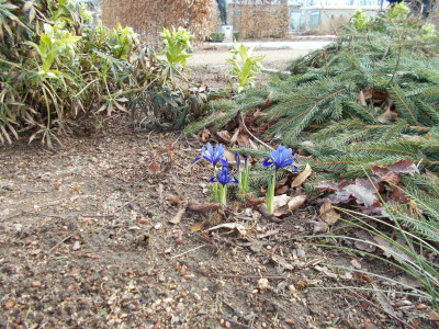 2017-03-12 12.22.25.jpg