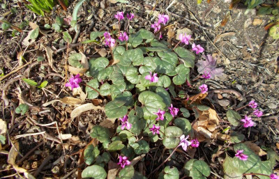 2017-03-12 12.38.48.jpg