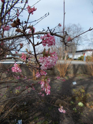 2017-03-12 12.40.25.jpg