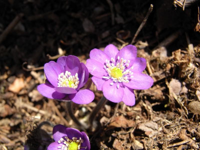 R0010001.JPG
