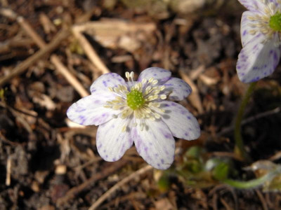 R0010002.JPG