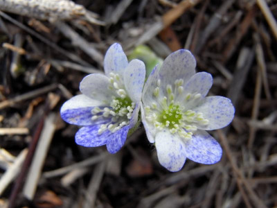 R0010005.JPG