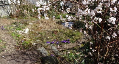 DSC02576.JPG