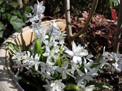 DSCN6605.JPG