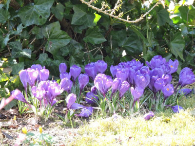 DSCN6609.JPG