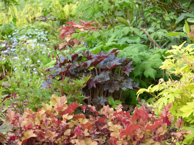 2016-05-17 Gartenimpressionen 1.jpg