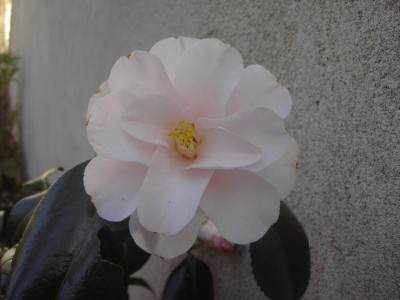 PICT1587.JPG