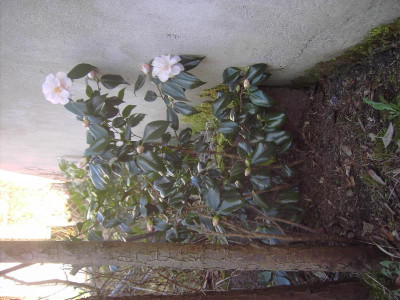 PICT1597.JPG