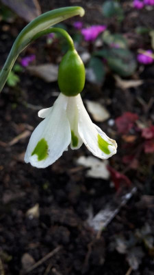20170316_172101.jpg