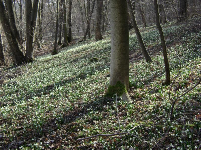 DSC07348.JPG