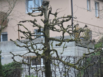 DSCN6616.JPG