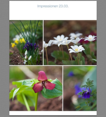 Impressionen 23.03..jpg