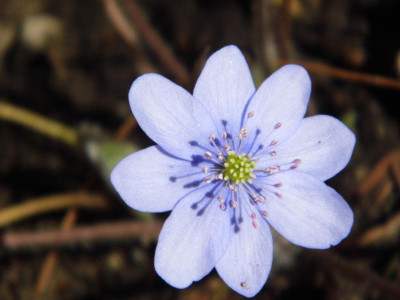 P1050629.JPG