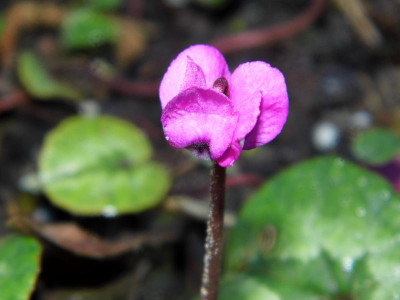 P1050616.JPG