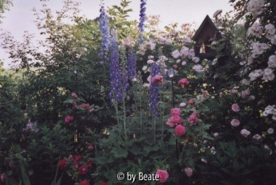 Beet20am20Hintereingang.jpg