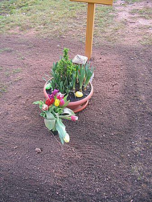 11f.jpg