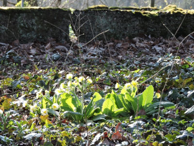 DSCN6685.JPG