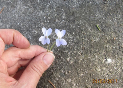 IMG_0856 small.jpg