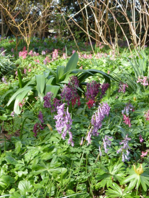 2017-03-25 Foerstergarten 3.jpg