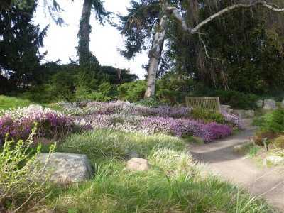 2017-03-25 Foerstergarten 8.jpg