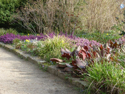 2017-03-25 Foerstergarten 12.jpg