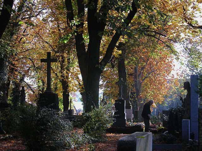 friedhof_1.jpg