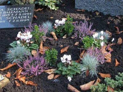 friedhof_9.jpg