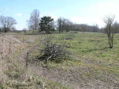 b2603122_800.jpg