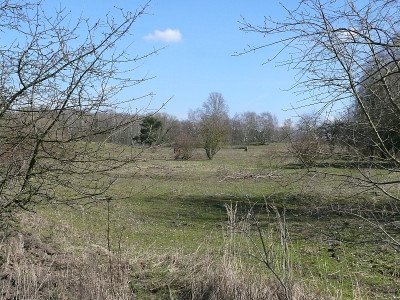 b2603127_800.jpg
