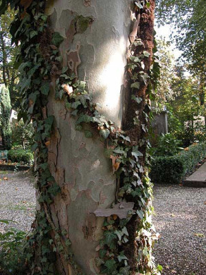 friedhof_12.jpg