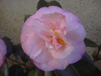 PICT1624.JPG
