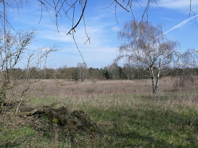 b2603159_800.jpg