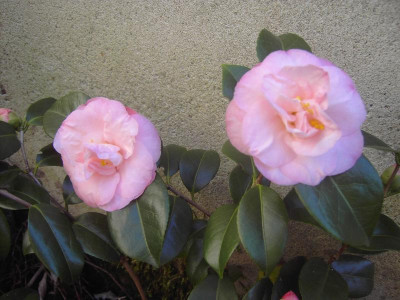 PICT1629.JPG