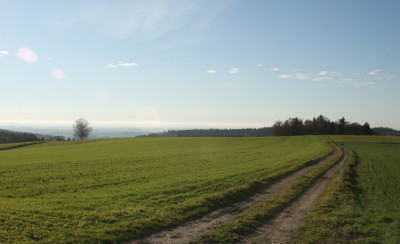 Wiesengrun-3.jpg