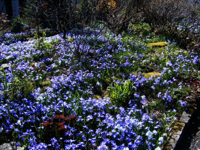 alles blau (2).JPG