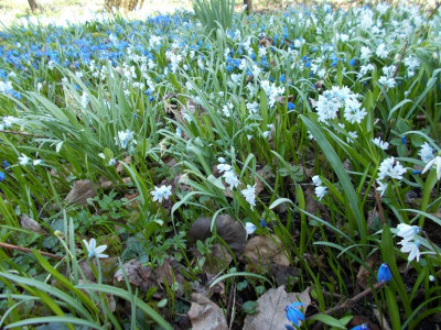 2017-03-26 11.10.58.jpg
