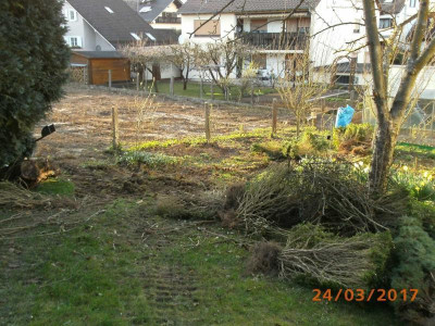 Plattgemacht.jpg