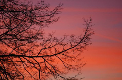 Sonnenuntergang_1_26-11-2006.jpg