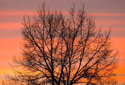 Sonnenuntergang_3_26-11-2006.jpg
