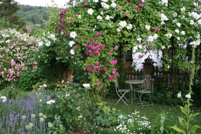 Mein-Rosengarten.jpg