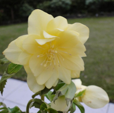 DSC04070.JPG