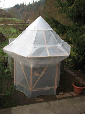 PALMENPAVILLON.jpg